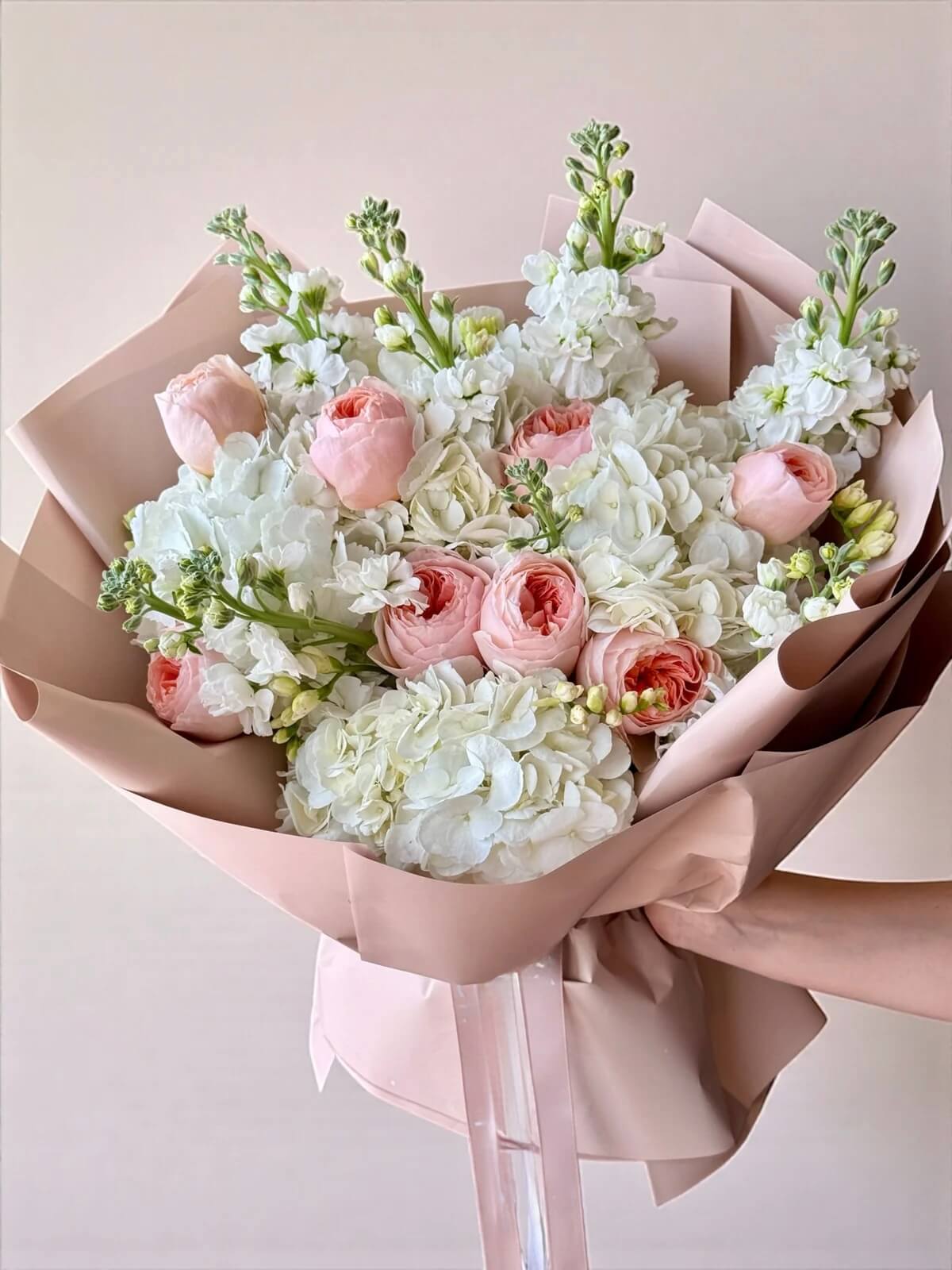 Blush