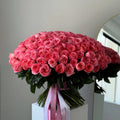 Kahola — Peony-Style Roses