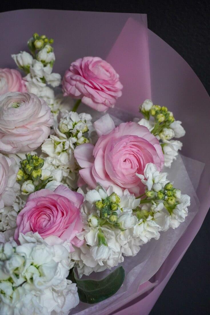 Matteola & Ranunculus