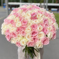 Pink & White Ohara — Peony-Style Roses