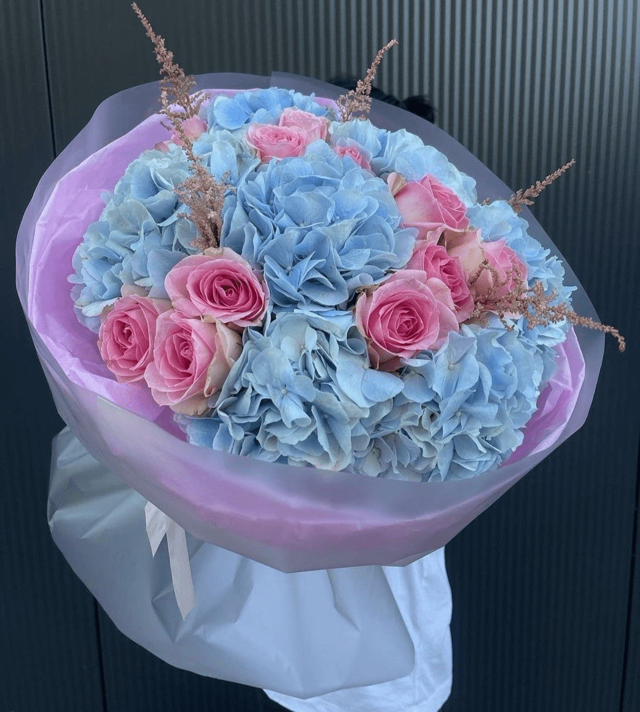 Premium hydrangea
